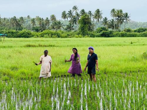 Trip to Paddi Field by Primary Students