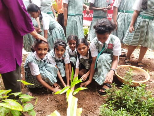 3532d834-9abb-4e3d-b386-d00182b4fac6