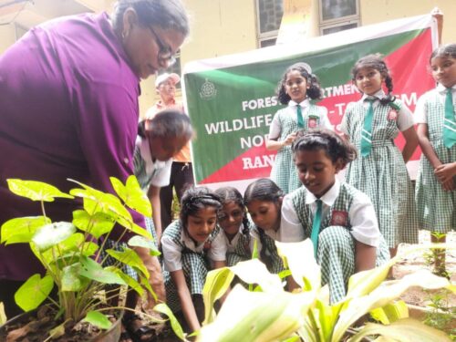 8e700bcf-c295-4f7d-b605-92a7b4737e2a