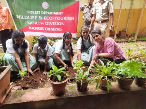 de114a5b-fd07-4812-a21d-7876fc6d840b