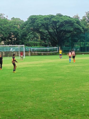 117dd12d-0778-4937-a94d-18e54b479886