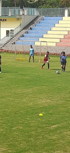 66803a7e-1a82-4981-ae33-4257af69af6d