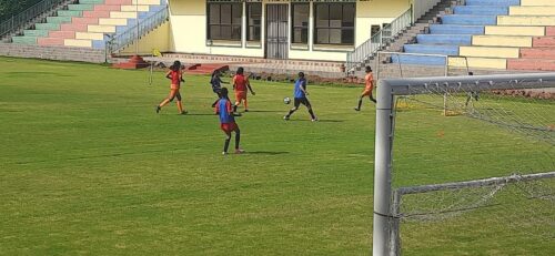 9392ac11-97e8-47b9-81bd-92cf2ba2a0e0