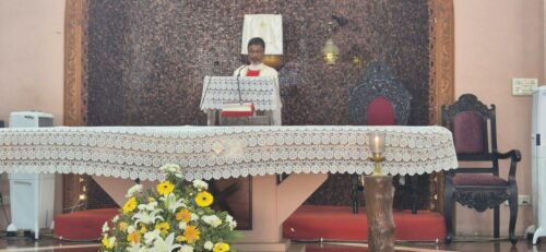 491bae9a-6826-4c7a-a187-17b46f4c1d2a