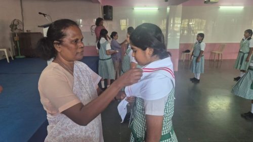 Junior Red Cross Installation Ceremony