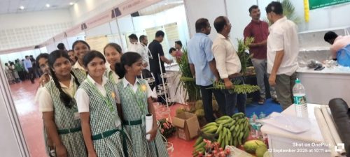 49c6054e-8766-4119-9bf0-e6acbafb52fa