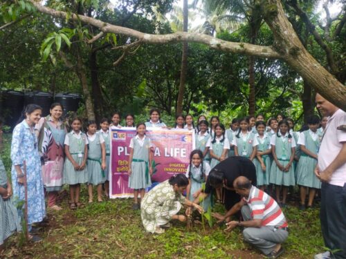 c265c632-455d-4640-9f8c-f7b56629acdd