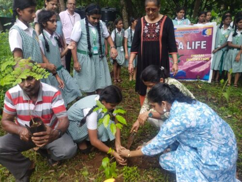 f0739fd2-f632-46ff-baae-cbf190e4d873