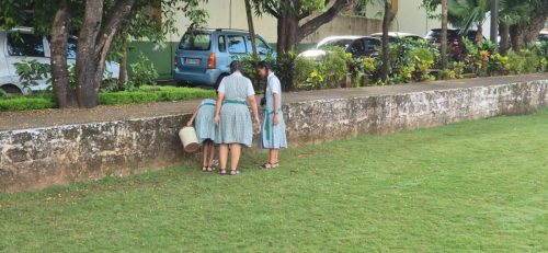 436d292b-1056-4d0a-9708-e2c7b67f25cd