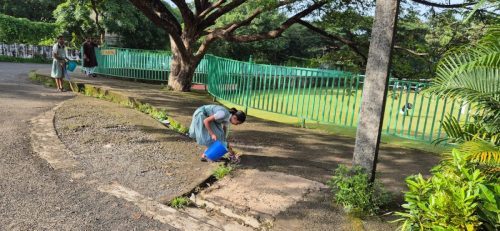 715ae5c4-22c2-42ec-a0e0-1d52b1a19908