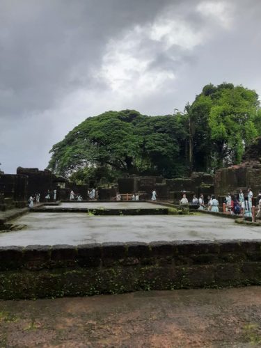 8e97408a-3530-401b-84e9-2637fc39d0d2