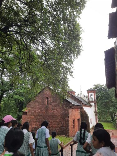 d5e9a003-d4d3-496a-aa31-4e7930ce255a